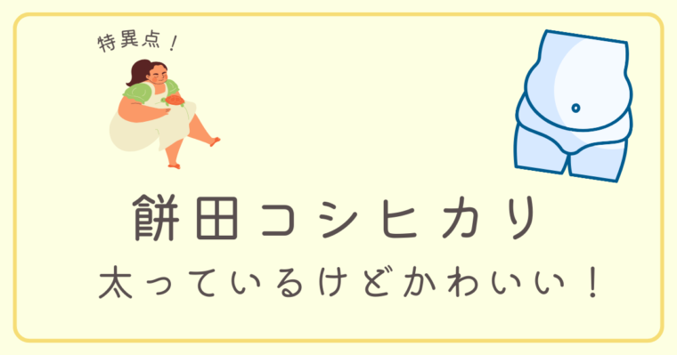 餅田コシヒカリは太っているけど顔がかわいくて美人！痩せていた時の画像ってあるの？